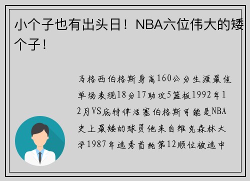 小个子也有出头日！NBA六位伟大的矮个子！